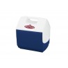 Lodówka Igloo Pal 6 L
