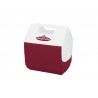 Lodówka Igloo Pal 6 L